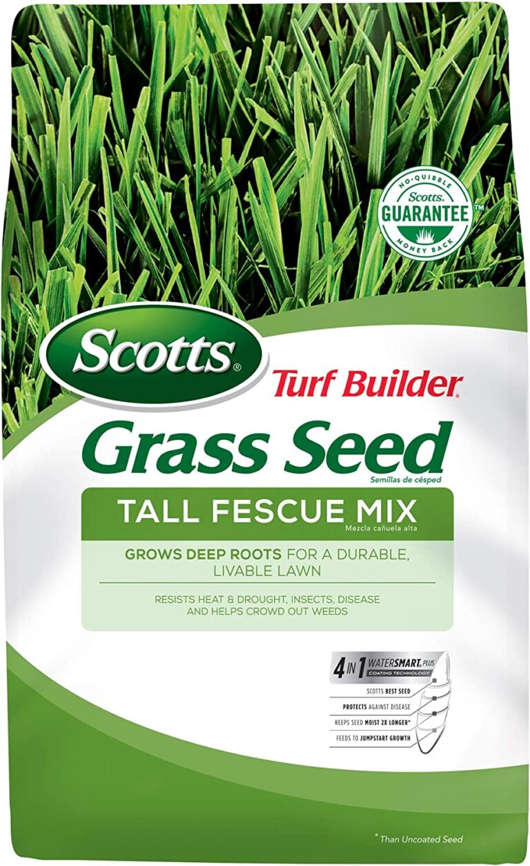 Scotts Turf Builder Grass Seed Tall Fescue Mix 3lb 13.96 at Amazon